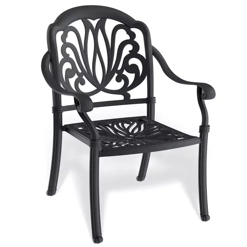 Lot de 2 chaises de salle à manger d'extérieur en fonte d'aluminium, cadre noir résistant à la rouille avec coussins résistants à l'eau